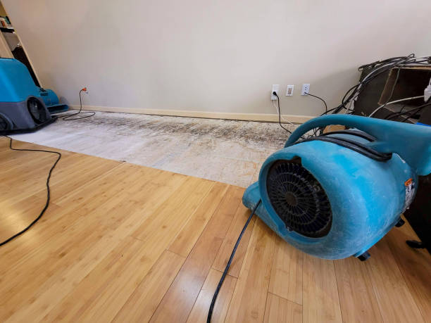 Professional Structural Drying technician working in Liberty, PA
